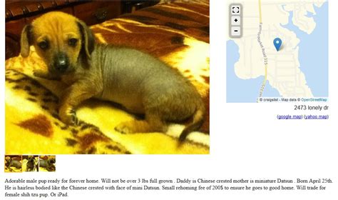 Craigslist tampa puppies for sale - tampa bay for sale by owner "puppies" - craigslist relevance 1 - 120 of 305 • • • • • • • • • • • • Australian Shepherd puppies 59 mins ago · Brooksville • • French Bulldog Puppies 23 4h ago · Tampa • • • chihuahua puppies 5h ago · Gibsonton $375 • • • • • • • • Cane corso puppies 5h ago · Lutz • • • • • • Catahoula / pitbull puppies